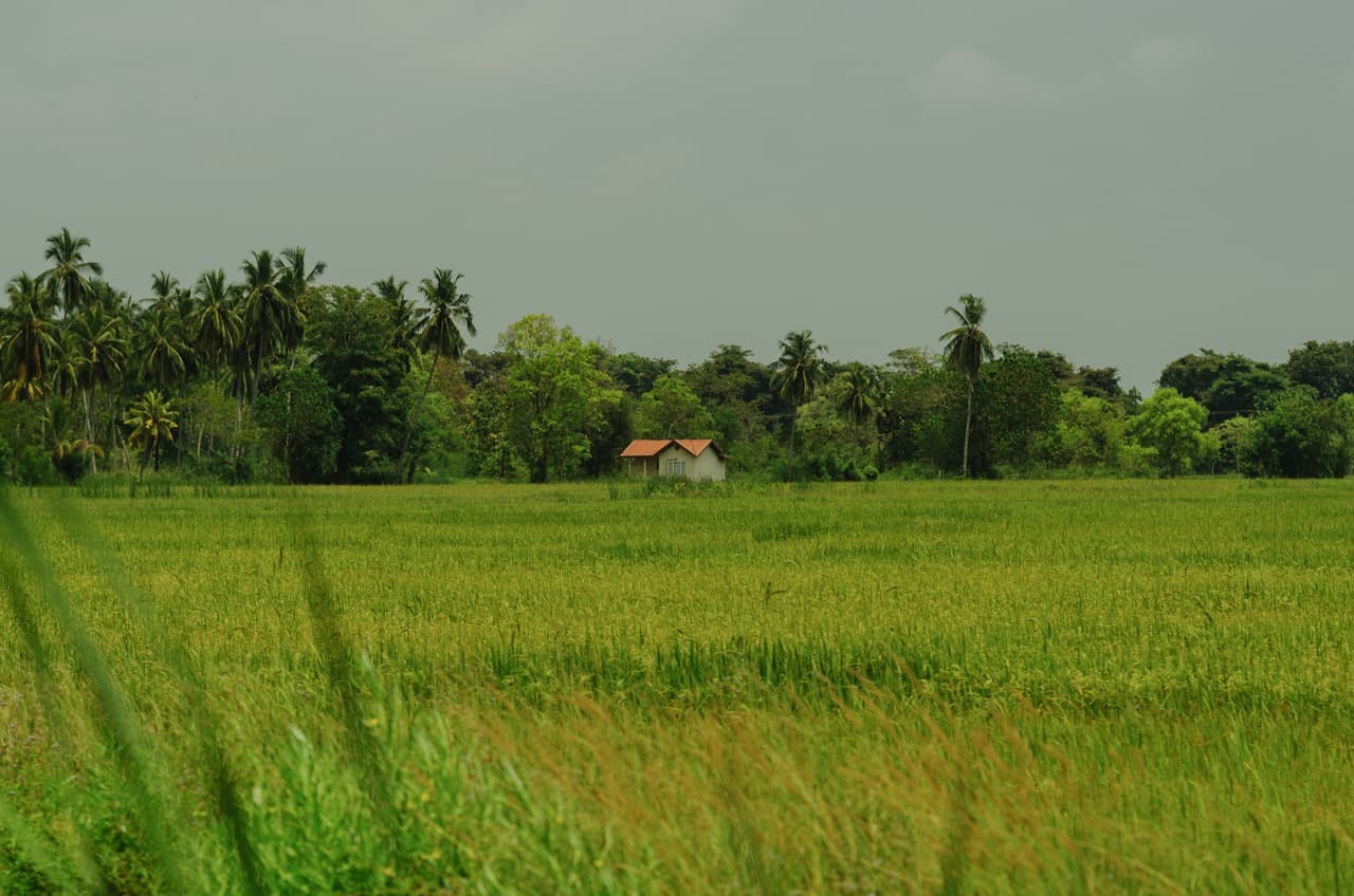 Превью Sri Lanka 2022